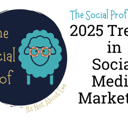 Cover art for Social Media Research and the Social Media Audit